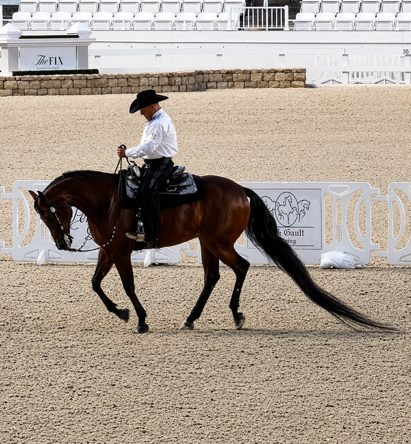 A Western dressage rider in a black cowboy hat and white shirt on a bay Arabian horse at the World Equestrian Center in Ocala