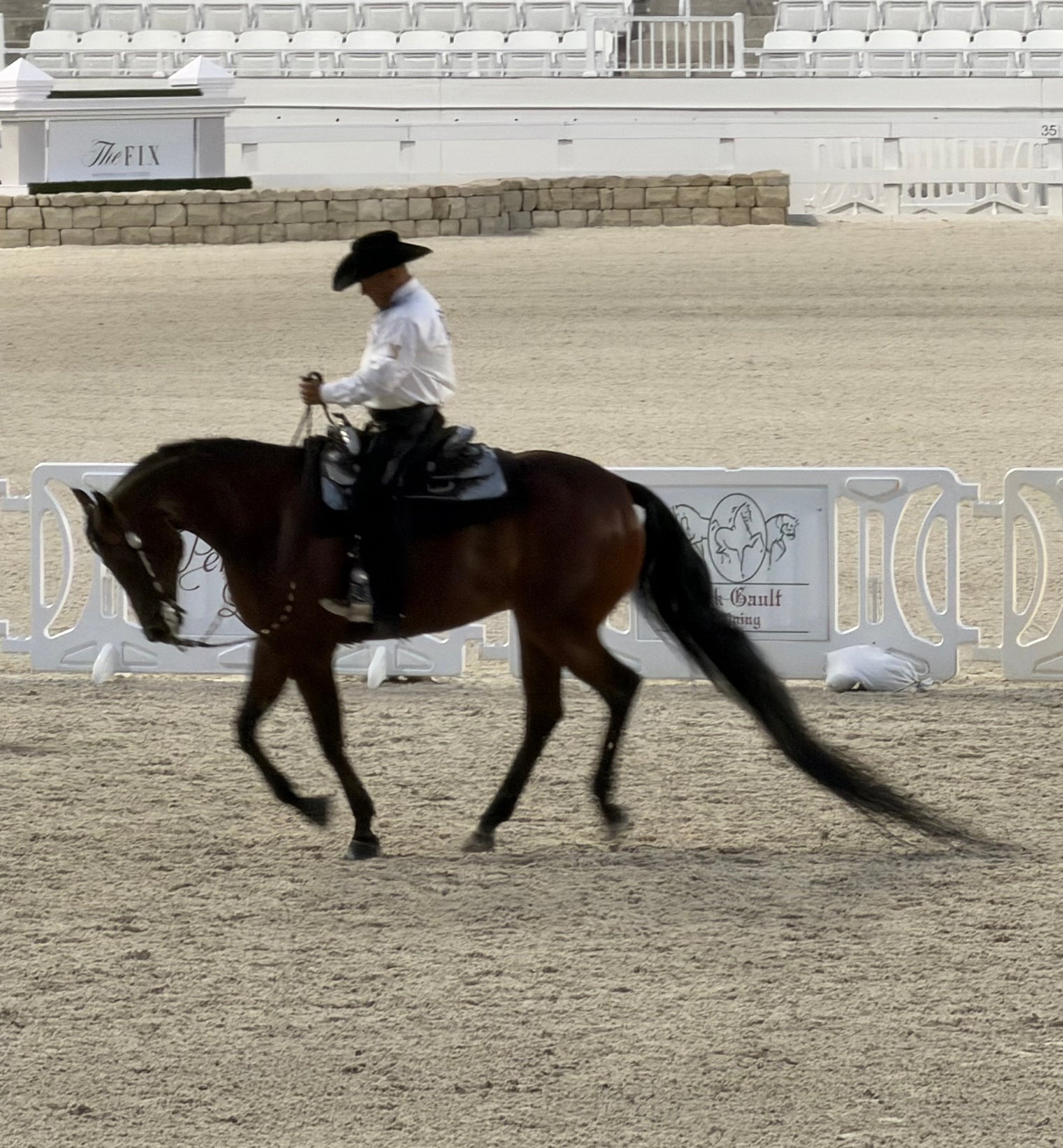 An Arabian Dressage Show at the World Equestrian Center