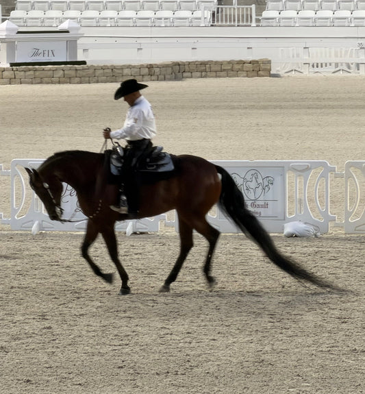 An Arabian Dressage Show at the World Equestrian Center
