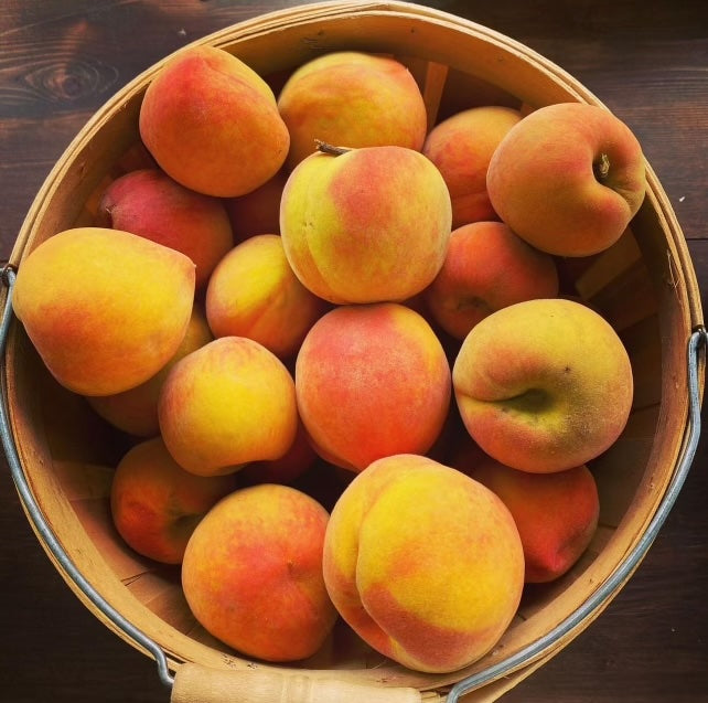 A Day at Graham’s U-Pick Farms